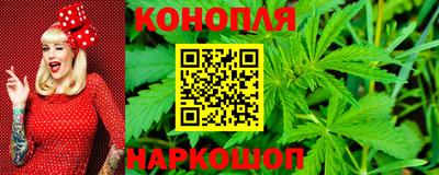 spice Дубна