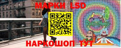 spice Дубна