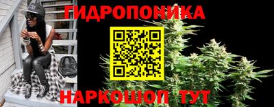spice Дубна